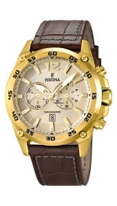 Festina Chronograph 16880.1