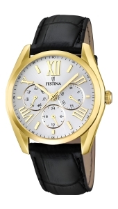 Festina Multifunction 16753.1